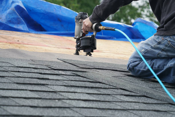 Best Roof Gutter Cleaning  in Louise, TX