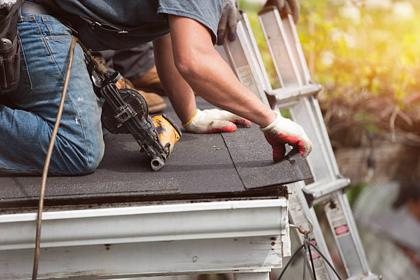 Gutter Installation and Roofing in Louise, TX