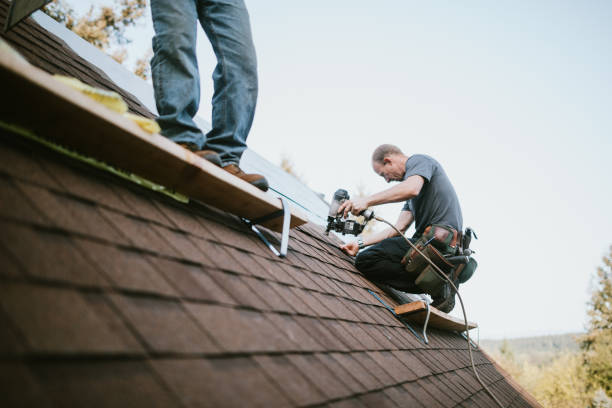 Quick and Trustworthy Emergency Roof Repair Services in Louise, TX